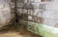 efflorescence chalky powder in basement