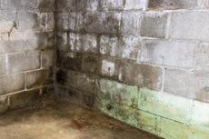 efflorescence chalky powder in basement