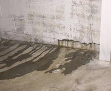 Water intrusion on basement wall and floor.
