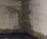 Wet cinderblock basement wall and floor.