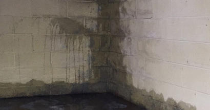 Wet cinderblock basement wall and floor.