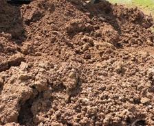 pile of dirt