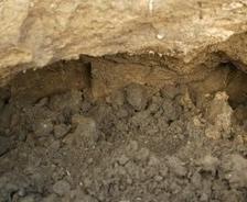soil under house