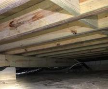 Wooden floor joist in crawlspace