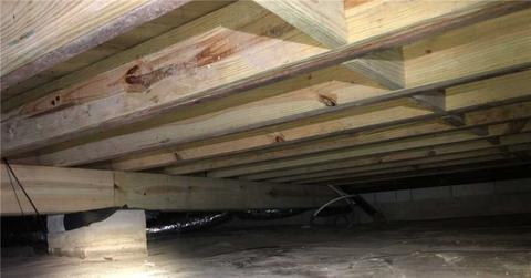 Wooden floor joist in crawlspace