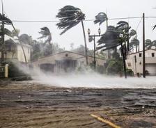 trees bending from wind, and water kicking up from a storm