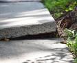concrete damaged by tree root