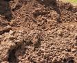 A mound of clay soil.