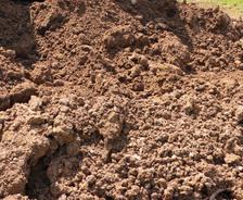 A mound of clay soil.