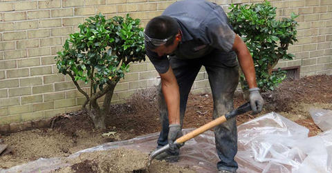 Crew digging in yard soil.