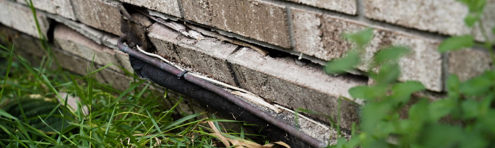 Cracked brick and bowing on the foundation wall.