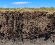 Soil washout and erosion.