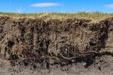 Soil washout and erosion.