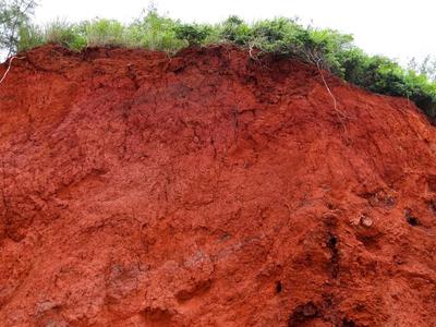 The red clay cliff, crowned with lush green vegetation, stands resilient like expertly applied basement waterproofing against the forces of nature.