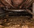 damp crawl space