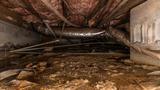 damp crawl space