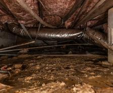 damp crawl space