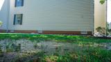 flooded yard