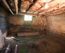 Wey moldy insulation in basement