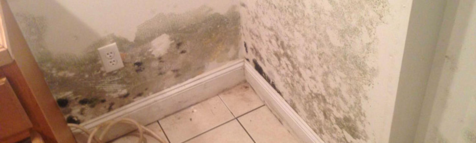 Mold growing on white walls in a tiled corner with a loose cord on the floor.