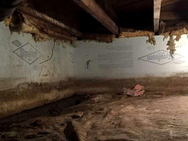 A dimly lit crawl space with exposed insulation, dirt floor, and wooden beams overhead.