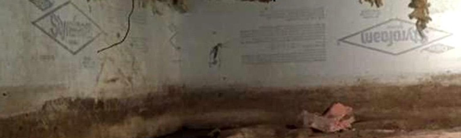 A dimly lit crawl space with exposed insulation, dirt floor, and wooden beams overhead.
