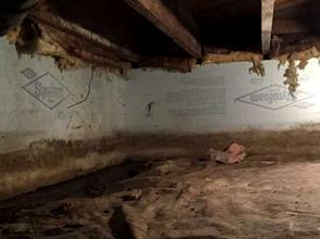 A dimly lit crawl space with exposed insulation, dirt floor, and wooden beams overhead.