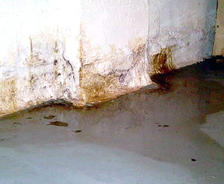 Water leakage on a basement floor with mold and damp stains on the walls.