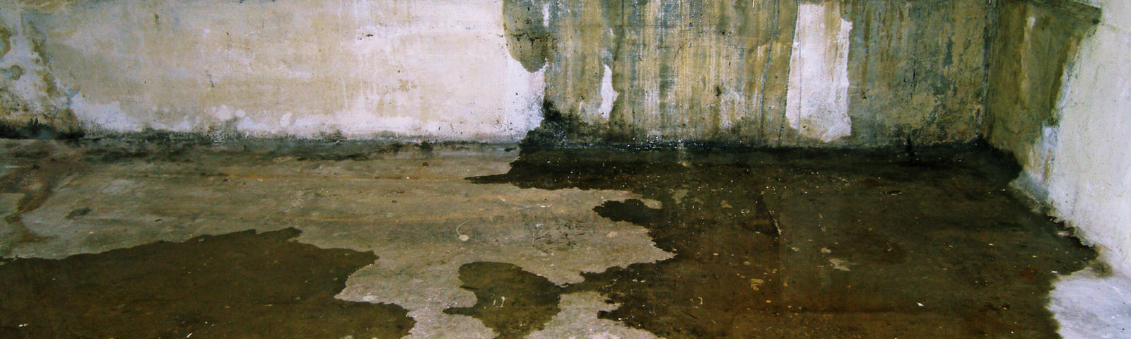 leaking basement