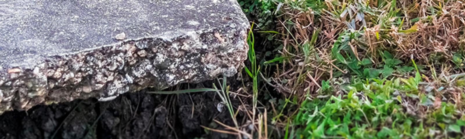 Close-up of an uneven concrete slab next to a patch of grass and weeds.