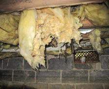 wet insulation in damp crawl space