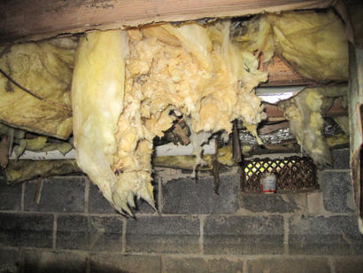 wet insulation in damp crawl space