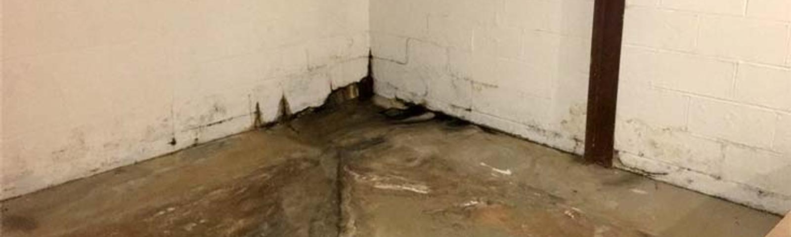 Damp basement