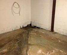 Damp basement