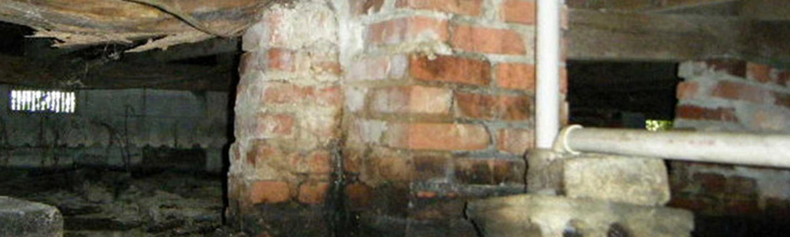 Wet crawl space