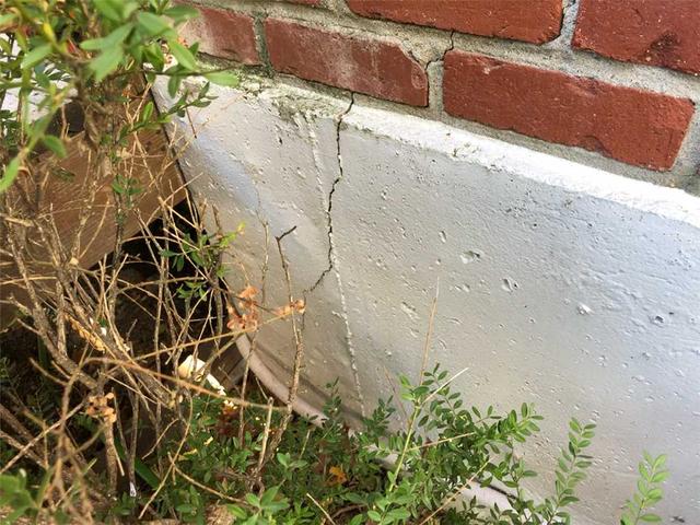 Vertical crack in foundation near plant foliage.