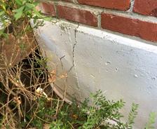 Vertical crack in foundation near plant foliage.