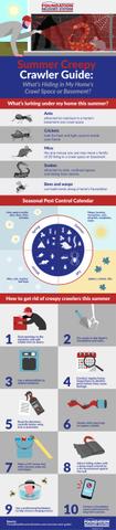 Summer Creepy Crawler Guide