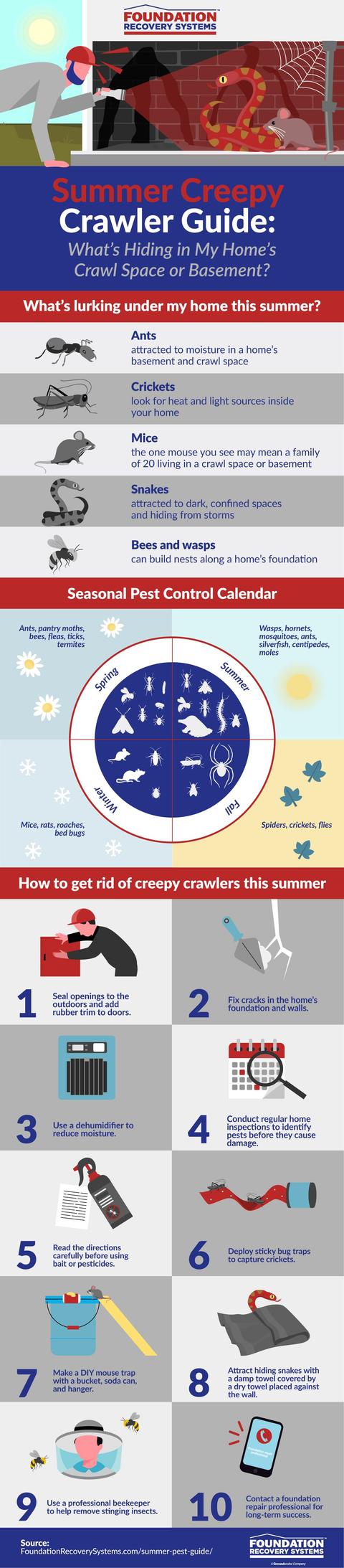 Summer Creepy Crawler Guide