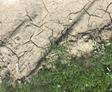 Dry and cracked soil