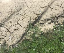 Dry and cracked soil