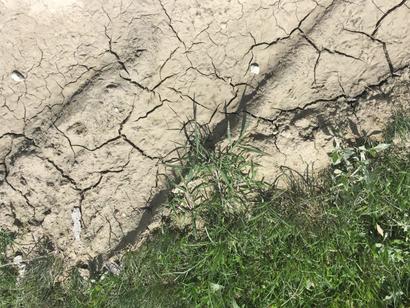Dry and cracked soil