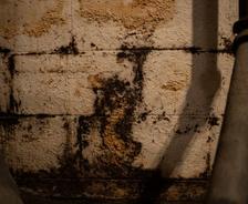 mold on basement wall