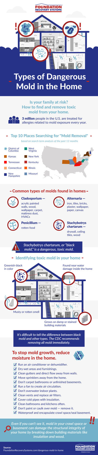 Types of Dangerous Mold in the Home