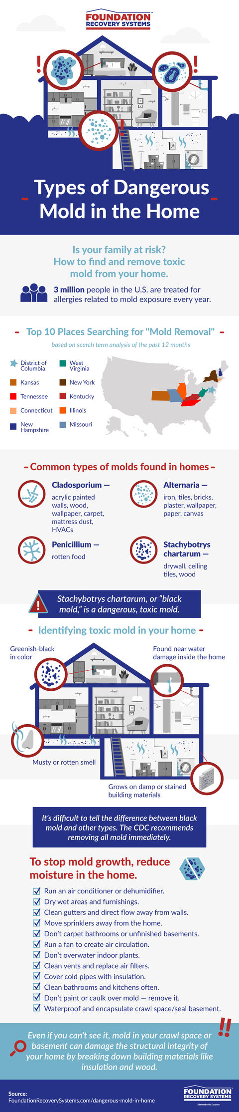 Types of Dangerous Mold in the Home