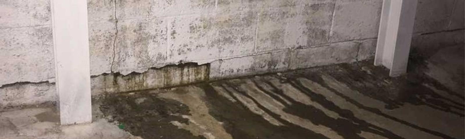 Wall and Floor Leak in Basement