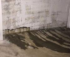 Wall and Floor Leak in Basement