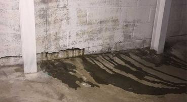 Wall and Floor Leak in Basement