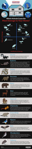 Which animals cause the most damage to your home