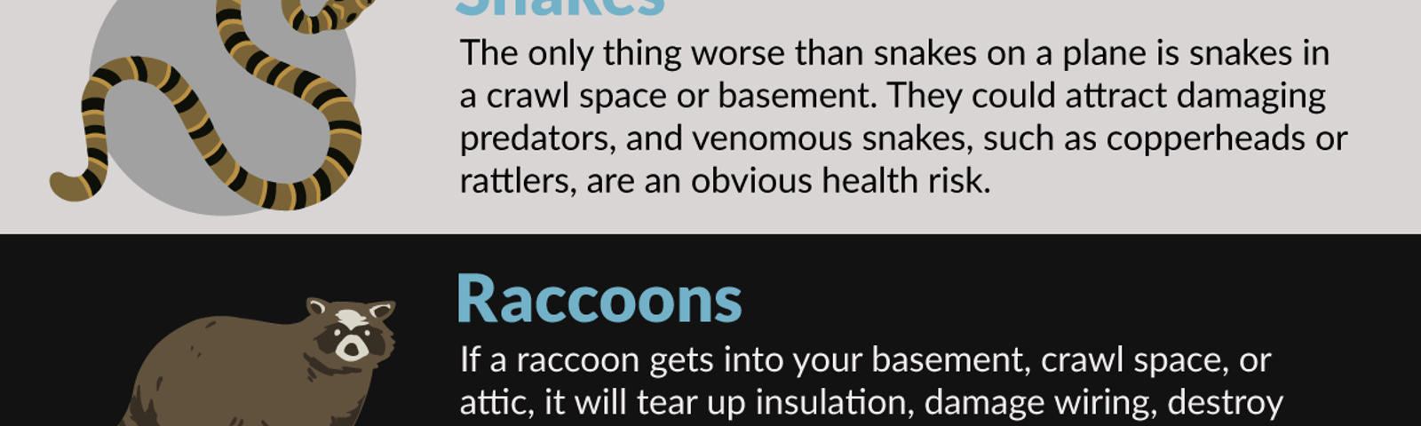 Which animals cause the most damage to your home